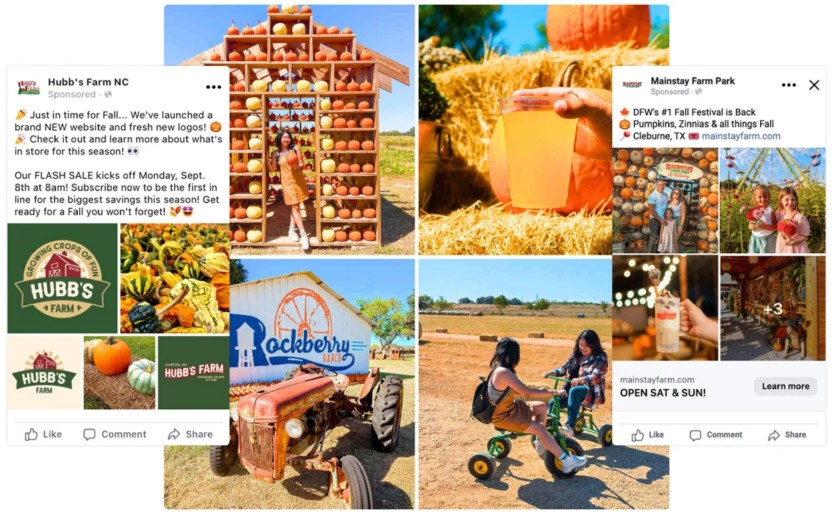 Selection of paid ad examples